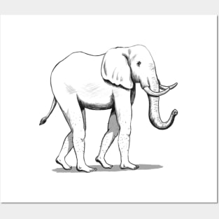 Elephant With Human Feet Posters and Art